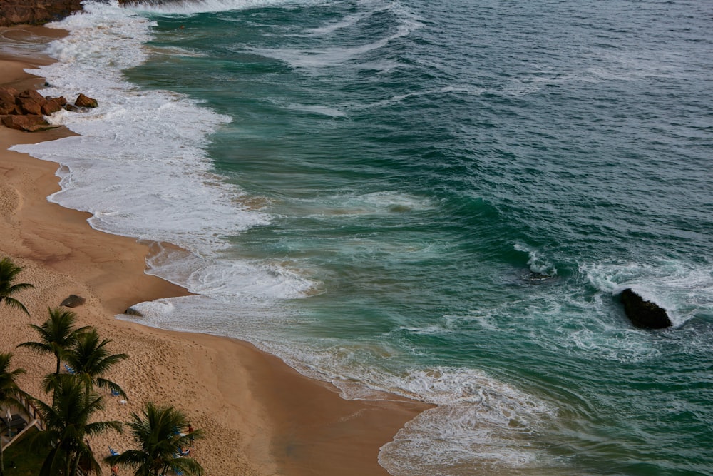 ocean waves near palm trees