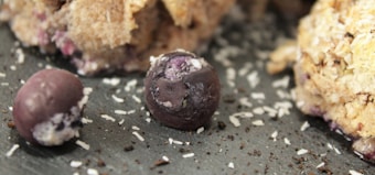 Close-up of a baked treat with visible blueberries and sprinkled coconut shavings on a dark surface.