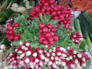 Radish Microgreens