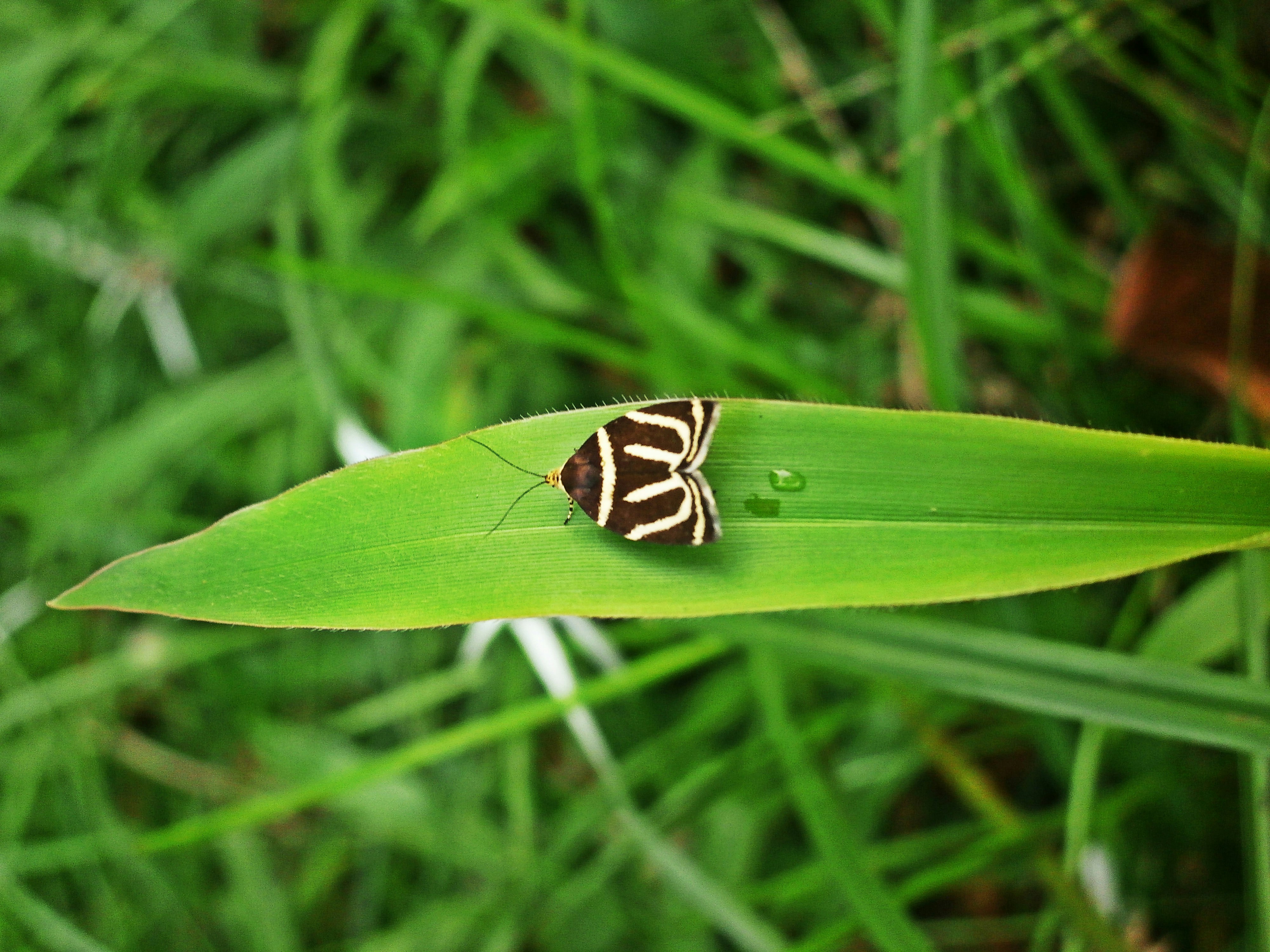 Free Unsplash photo from Jesús David