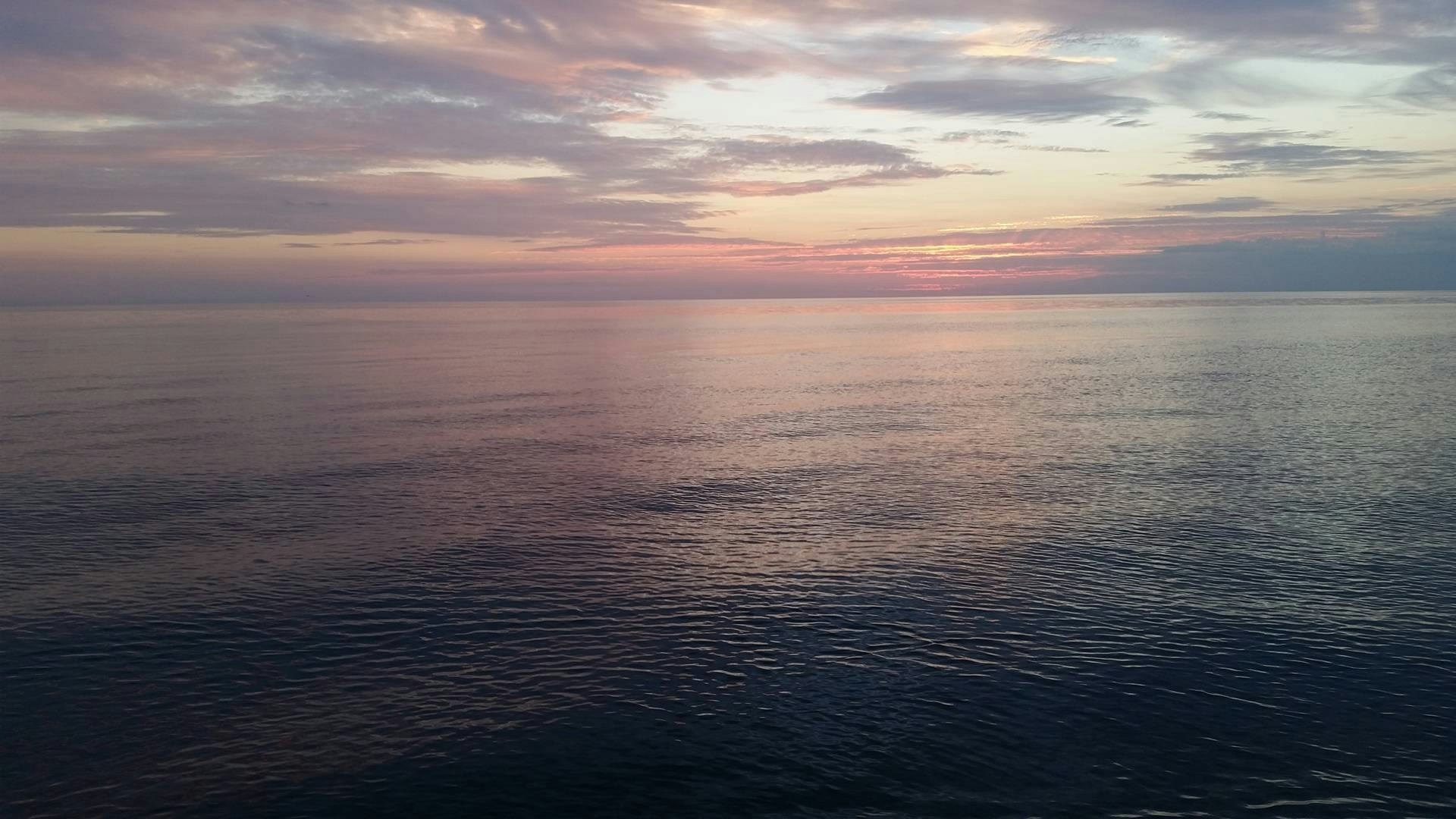 Free Unsplash photo from Stefan Trivuncic