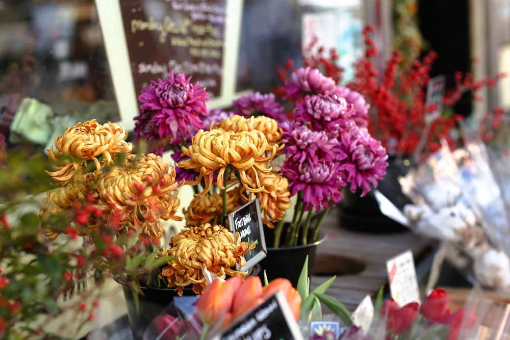 selective focus photography of yellow and purple petaled flowers on shelf