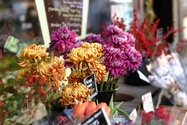 Bloemenwinkel Haarlem