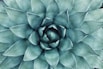 Wellness and health resources