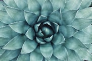 Wellness and health resources
