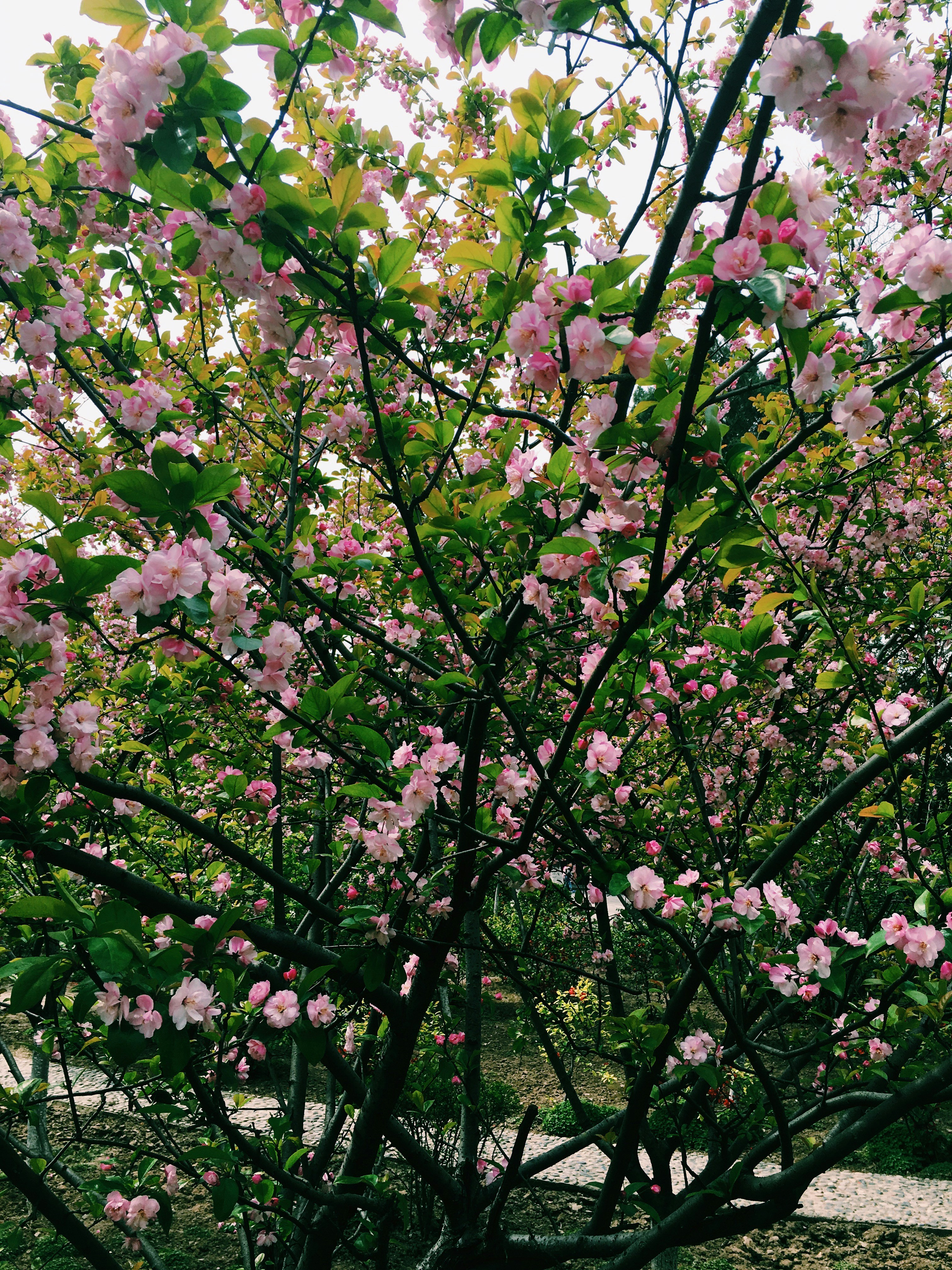 Free Unsplash photo from Ma Yalin