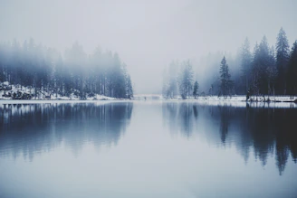 A mysterious frozen lake surrounded by snow-dusted pine trees under a misty sky.