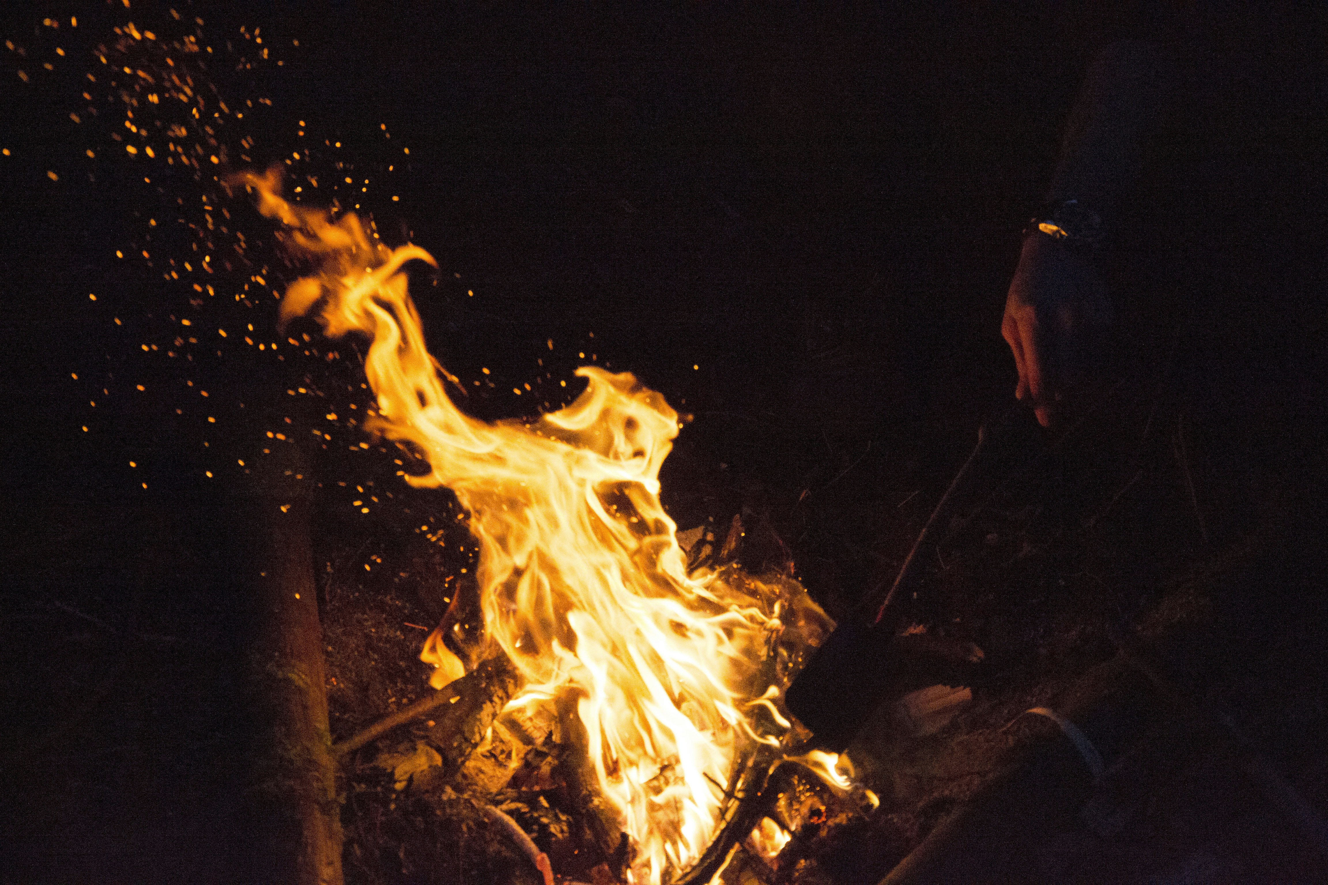 Free Unsplash photo from Jonathan Van Limbergen