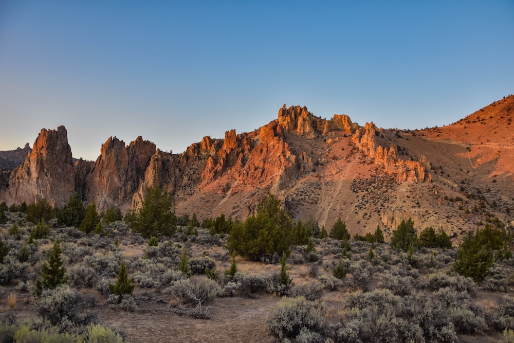 brown rock mountain