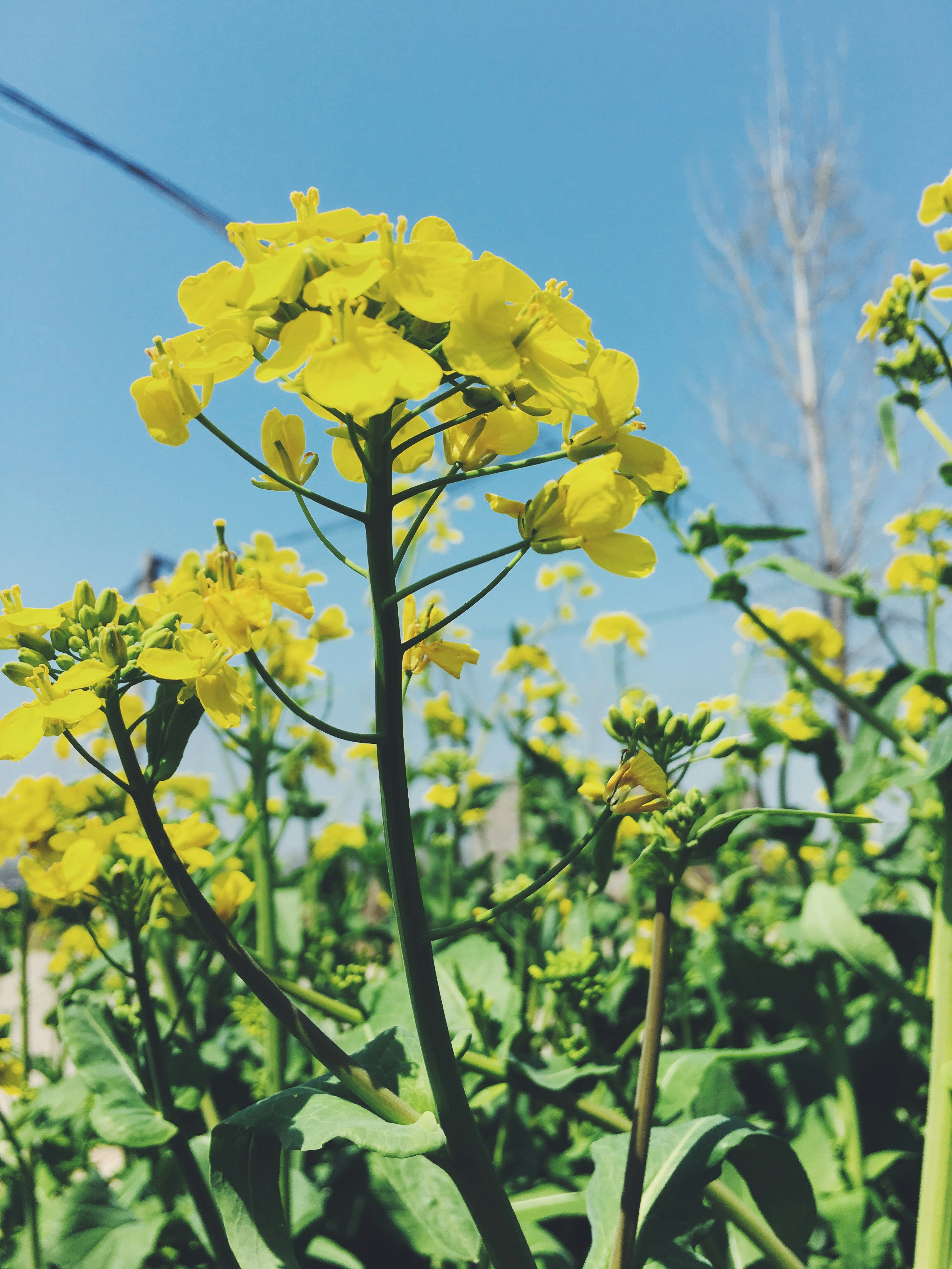 Free Unsplash photo from Ma Yalin