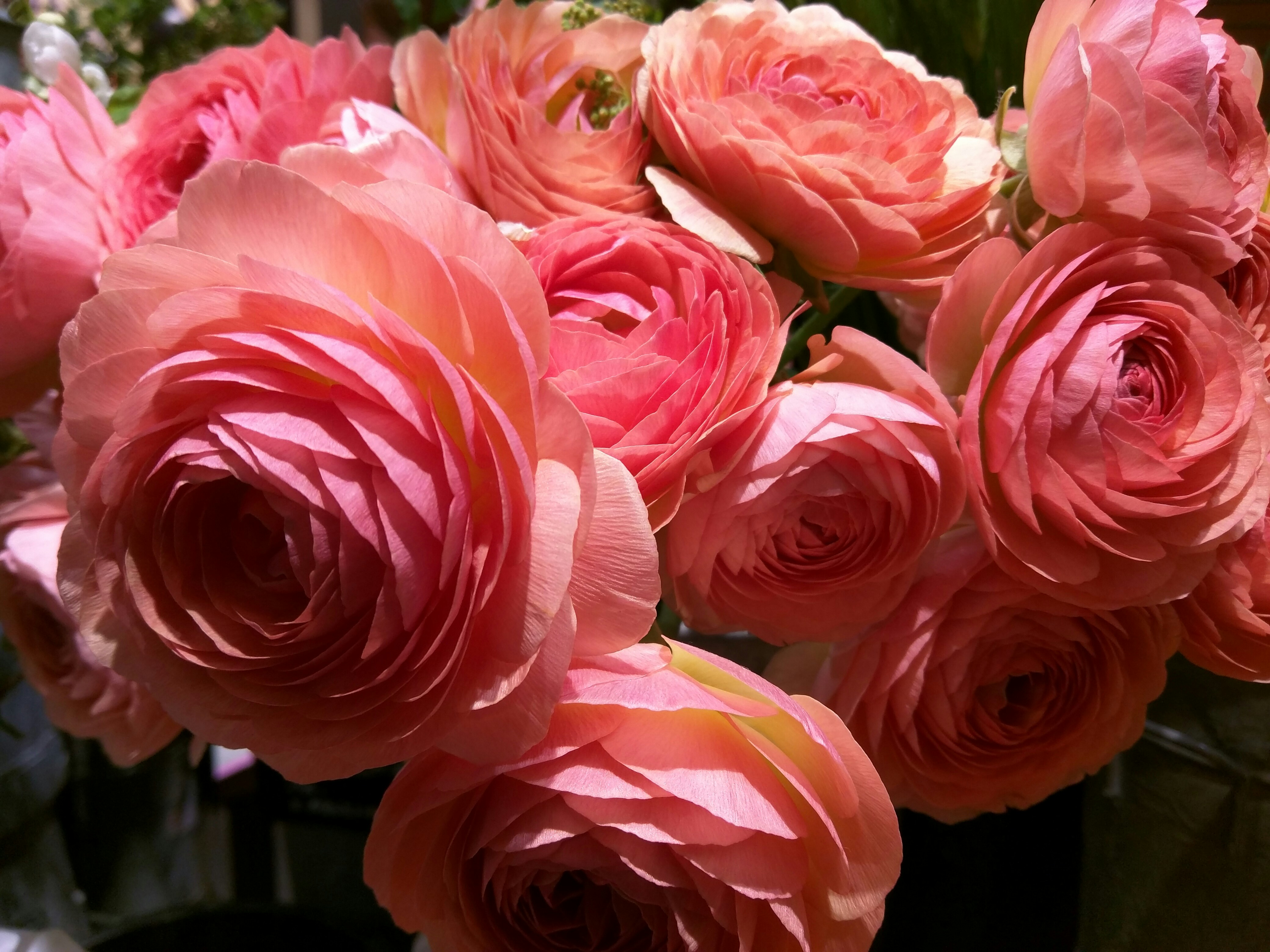 Free Unsplash photo from Audrey Kwak