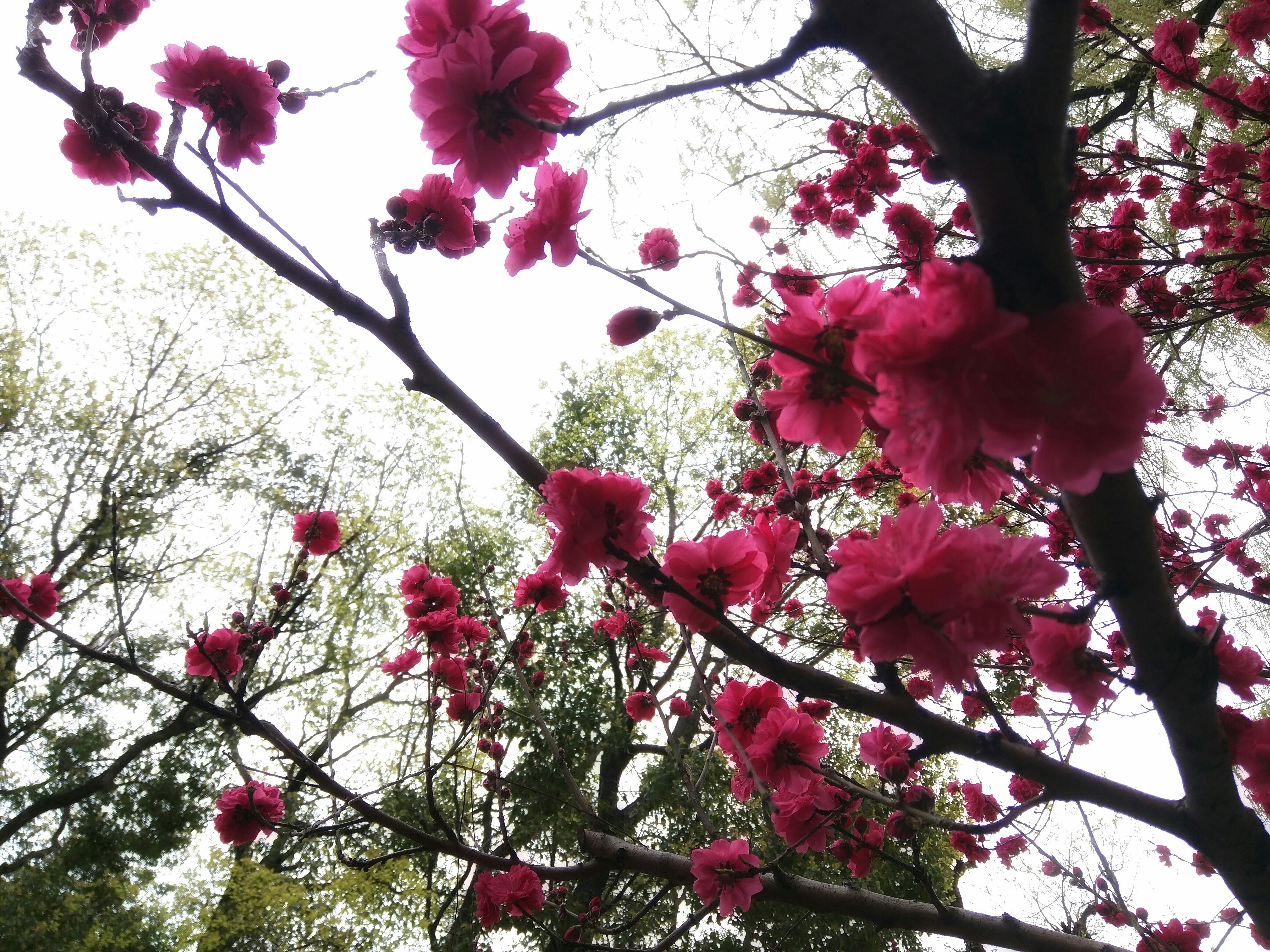 Free Unsplash photo from Audrey Kwak