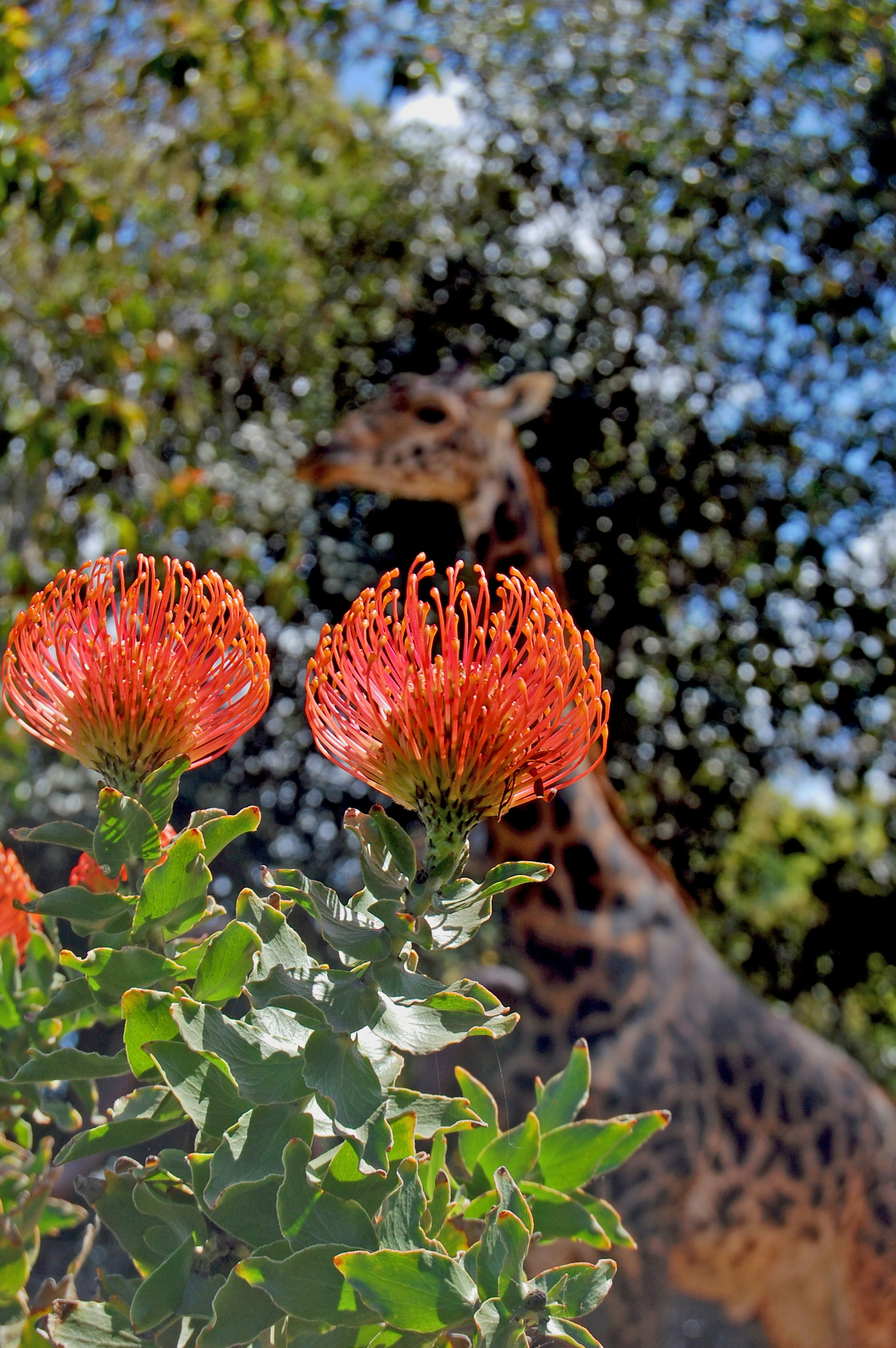 Free Unsplash photo from Lanie Gravlin