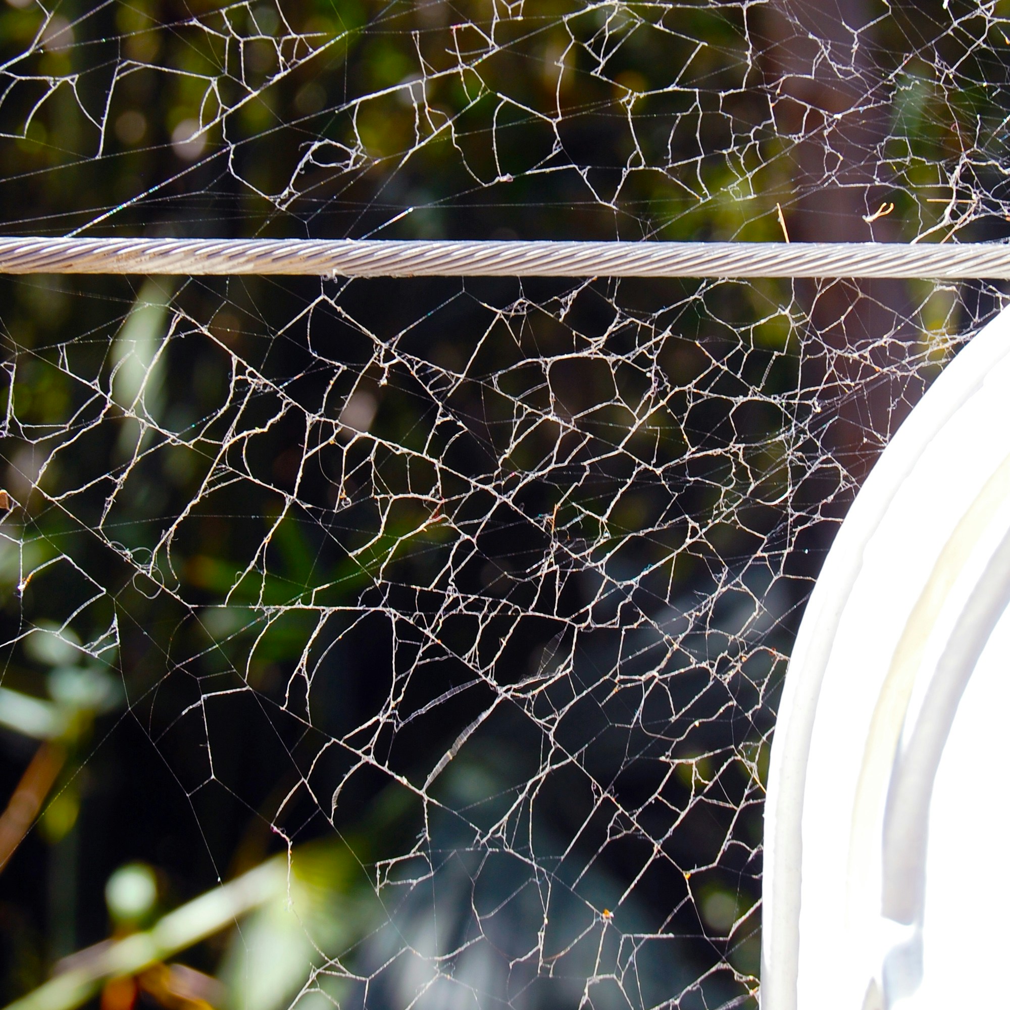 Free Unsplash photo from Lanie Gravlin