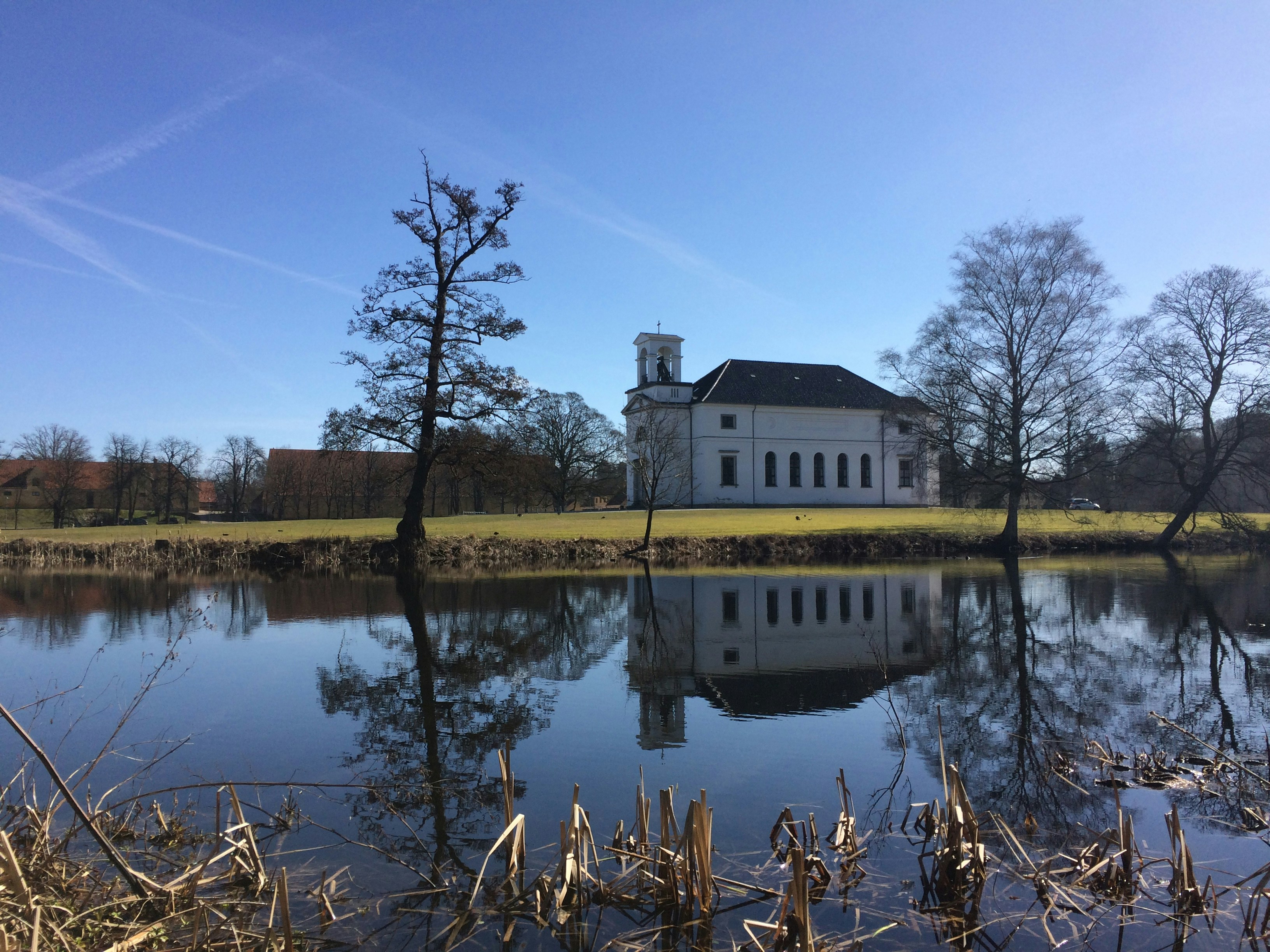 Free Unsplash photo from E. Camilo