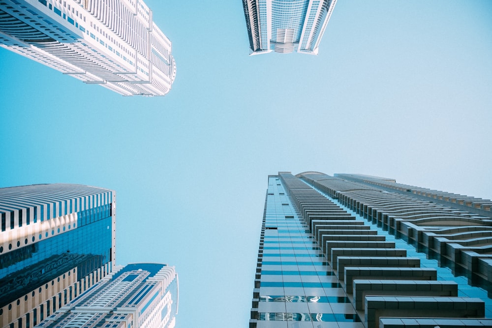 white and blue high rise buildings