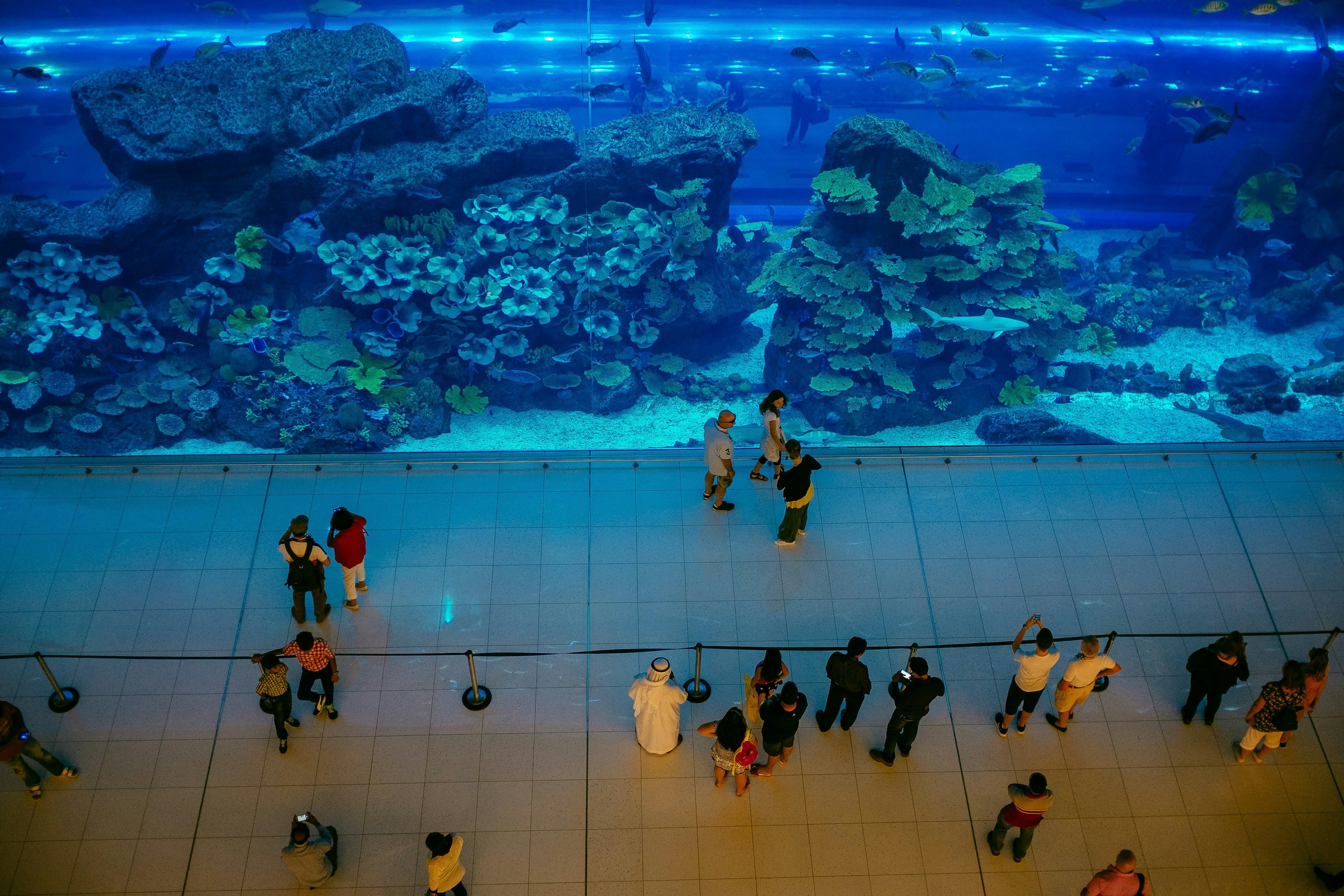 The inside view of Dubai Underwater aquarium