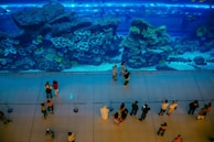 A large aquarium with vibrant coral reefs and various species of fish is viewed from above. Behind a glass wall, people stand at a distance, marveling at the marine life. The lighting casts a blue hue over the entire scene, highlighting the aquatic display.