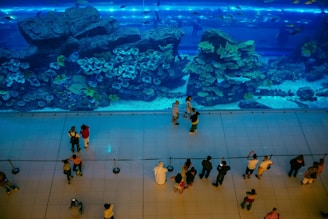A large aquarium with vibrant coral reefs and various species of fish is viewed from above. Behind a glass wall, people stand at a distance, marveling at the marine life. The lighting casts a blue hue over the entire scene, highlighting the aquatic display.