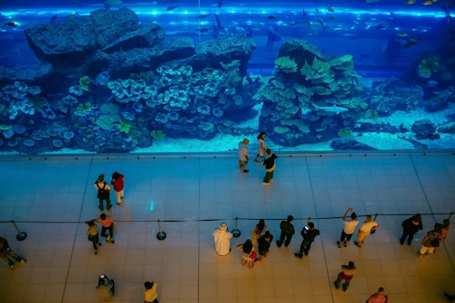 A large aquarium with vibrant coral reefs and various species of fish is viewed from above. Behind a glass wall, people stand at a distance, marveling at the marine life. The lighting casts a blue hue over the entire scene, highlighting the aquatic display.