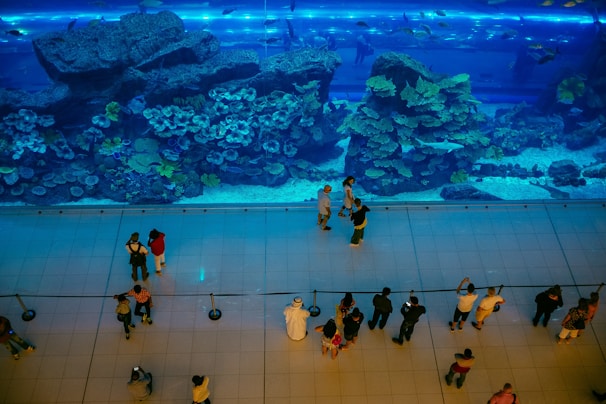 A large aquarium with vibrant coral reefs and various species of fish is viewed from above. Behind a glass wall, people stand at a distance, marveling at the marine life. The lighting casts a blue hue over the entire scene, highlighting the aquatic display.
