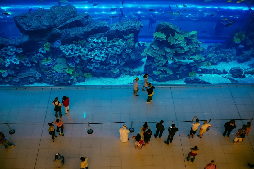 A large aquarium with vibrant coral reefs and various species of fish is viewed from above. Behind a glass wall, people stand at a distance, marveling at the marine life. The lighting casts a blue hue over the entire scene, highlighting the aquatic display.