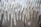 A collection of white rubber glove molds, with some of them showing signs of dirt or discoloration. The molds are arranged closely together, forming a repetitive pattern.