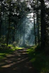A serene running trail winding through a forest at dawn, with soft light filtering through the trees.