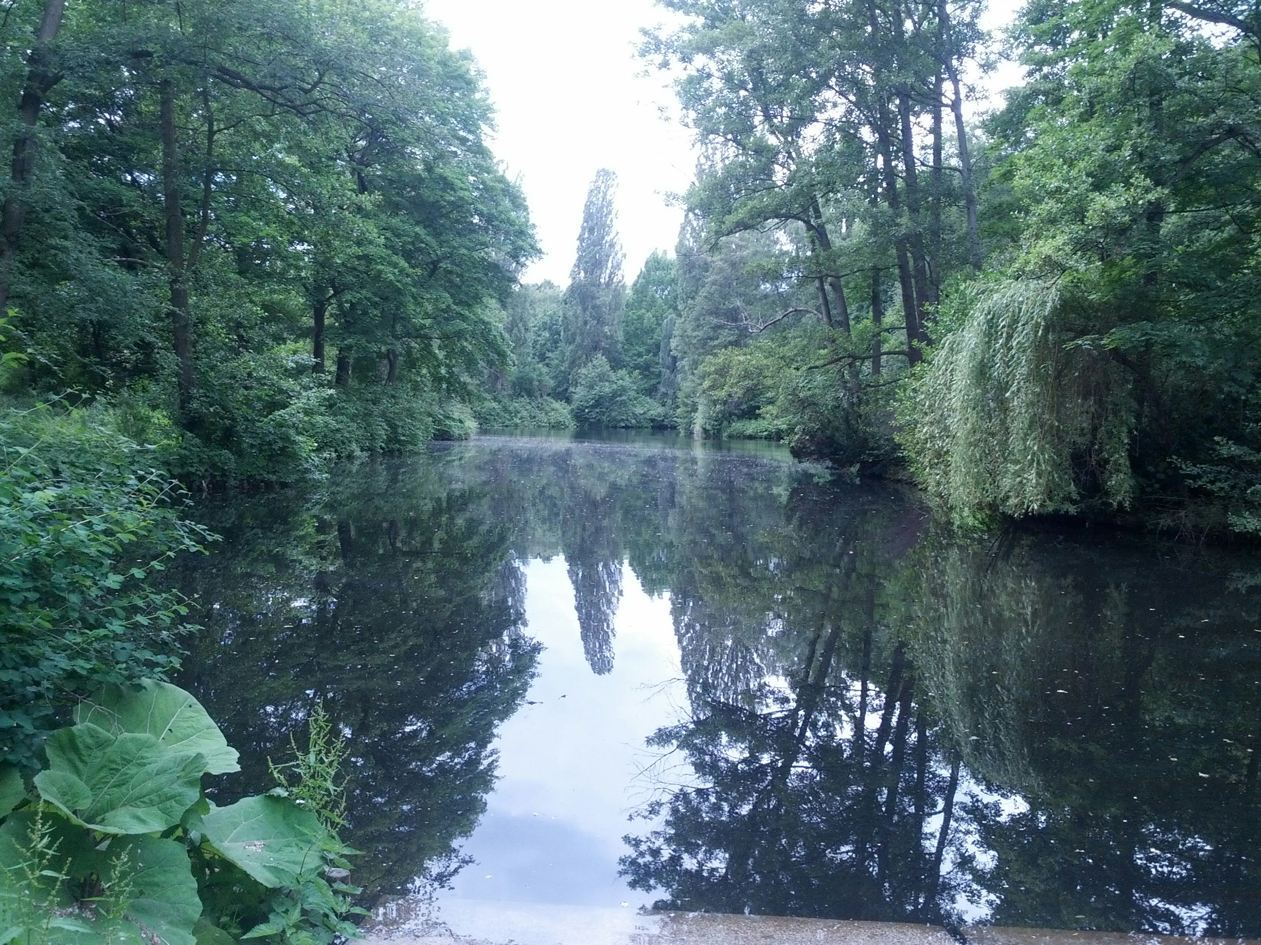 Free Unsplash photo from Marc Pratllusa