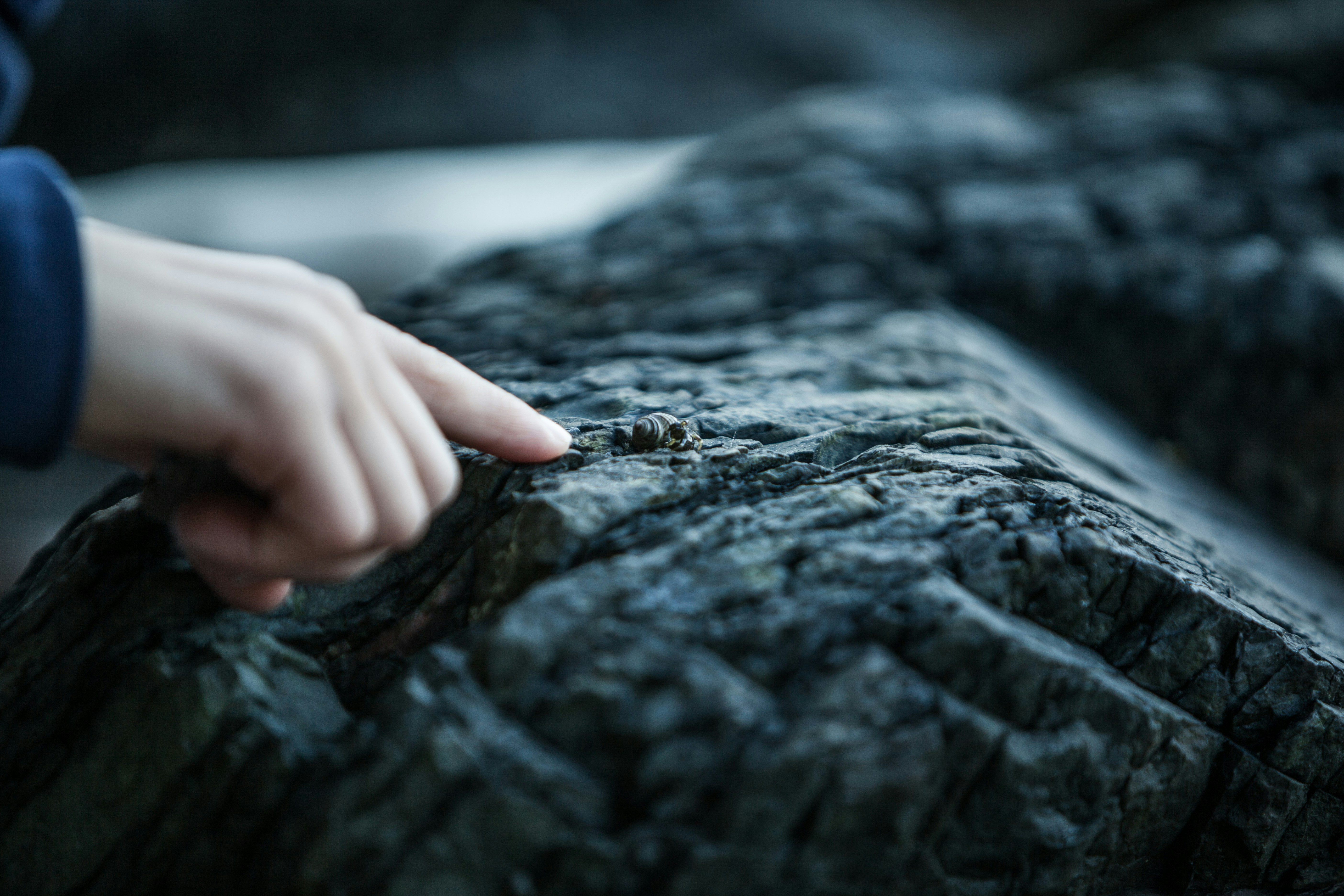 Photo By jesse orrico