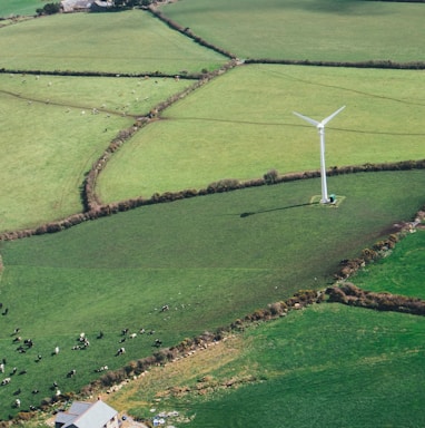 birds eye view of wine mill on grass field