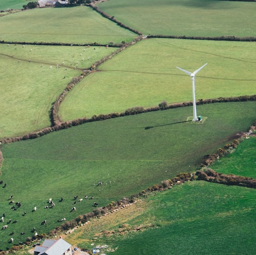 birds eye view of wine mill on grass field