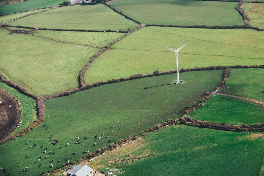 birds eye view of wine mill on grass field