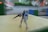 A blurred image depicts a model toy robot, possibly a Gundam, standing on a surface outdoors. The setting appears to be urban with indistinct buildings and greenery in the background. The robot is holding a weapon and a shield.