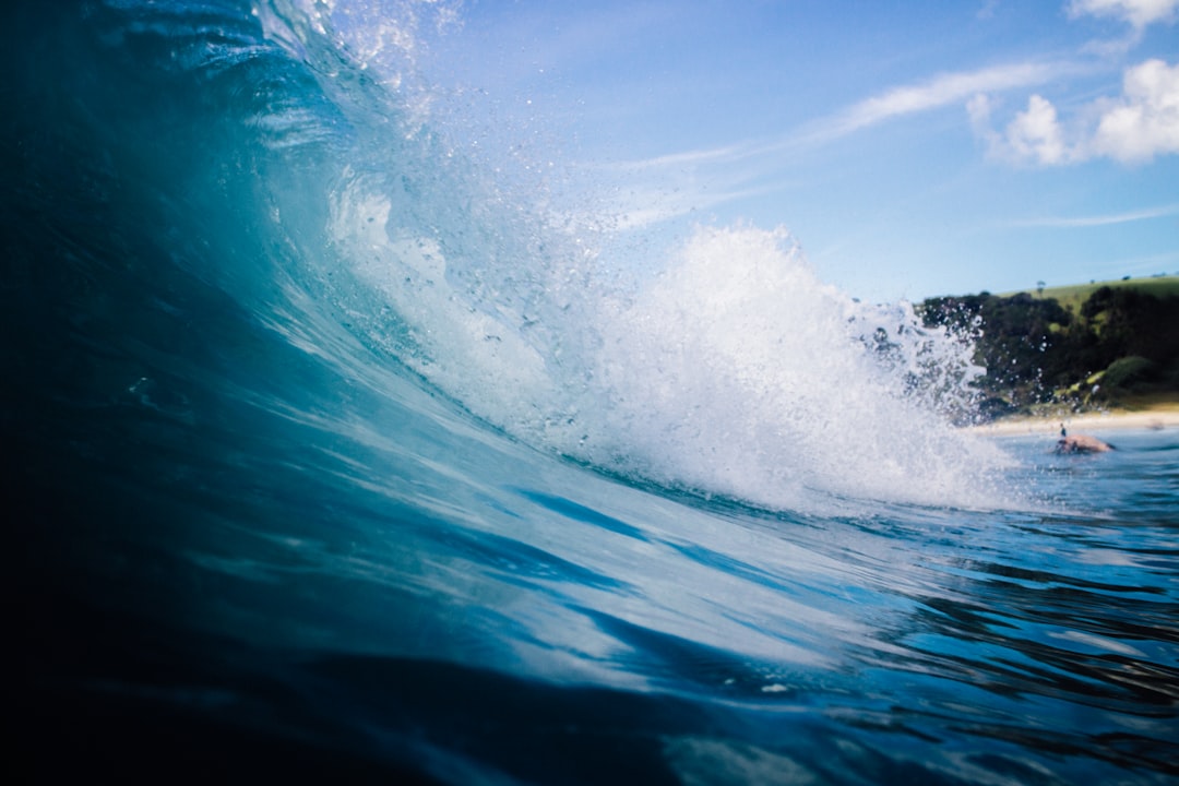 Surfing photo spot Tawharanui Peninsula Warkworth