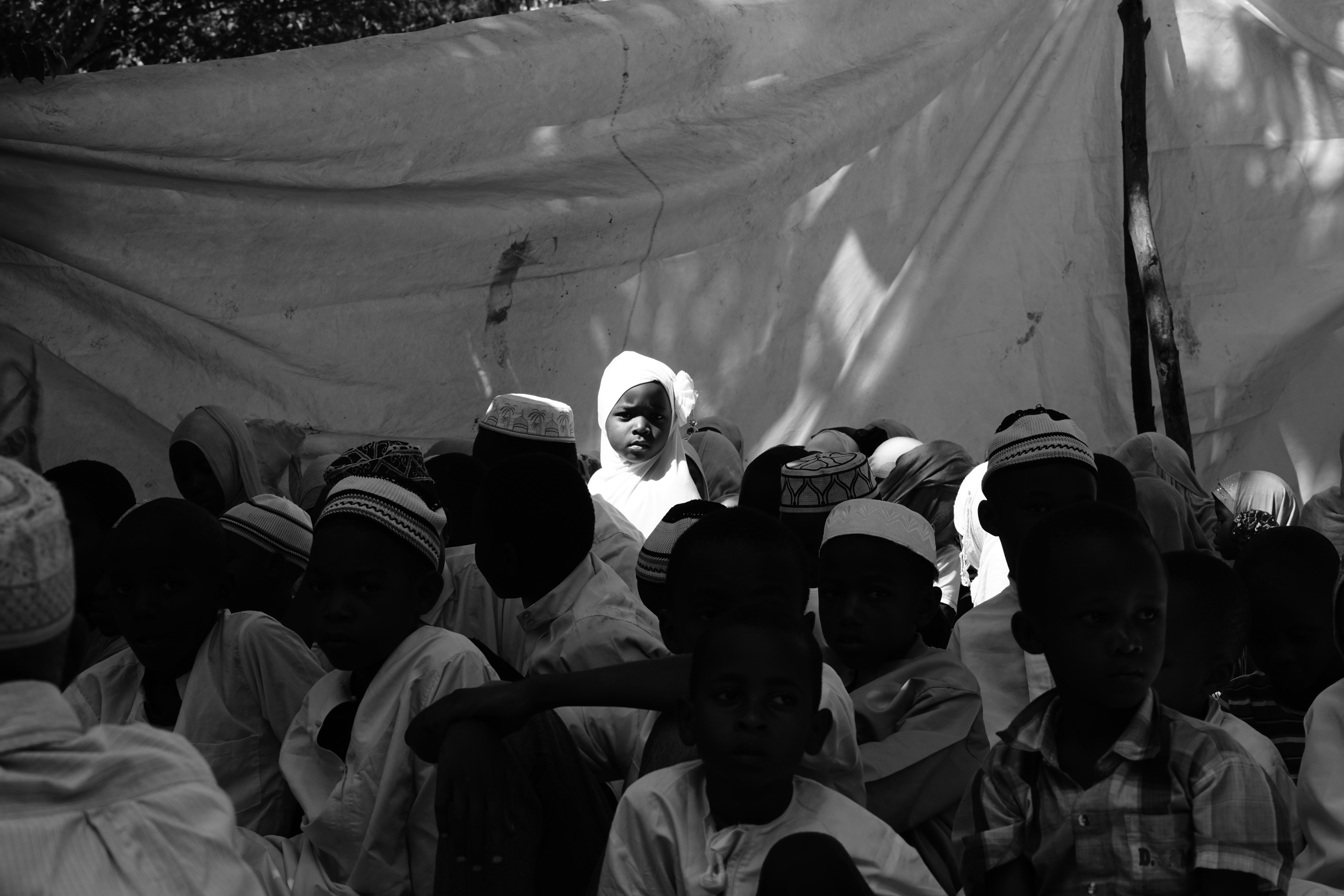 Free Unsplash photo from Roger Brand