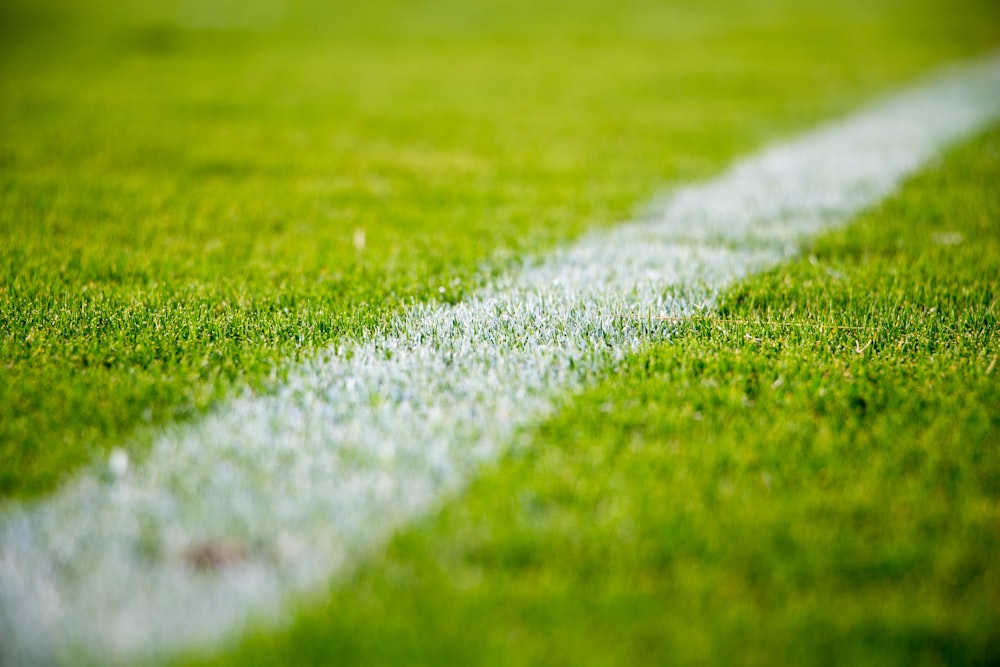 Close-up de uma linha branca na grama verde em um campo de futebol