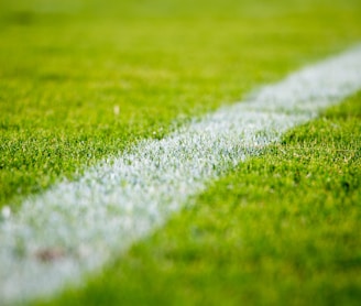 Close-up of a white line on green grass in a soccer field