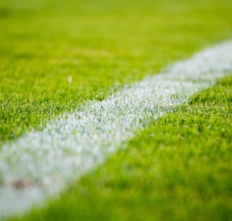 Close-up of a white line on green grass in a soccer field