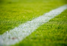 Close-up of a white line on green grass in a soccer field