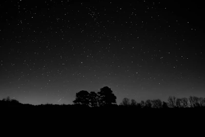 A serene wallpaper design featuring celestial patterns and stars.