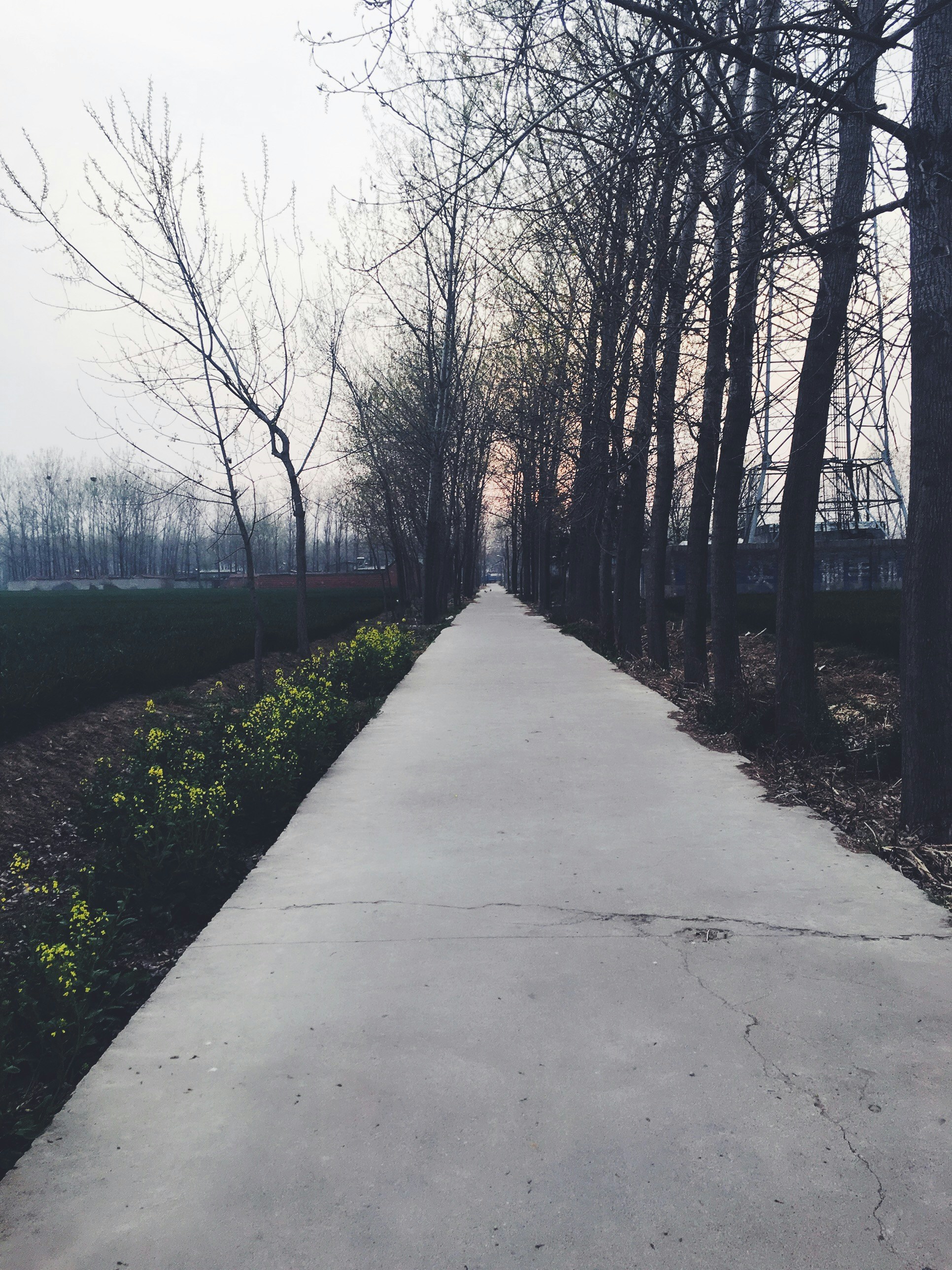 Free Unsplash photo from Ma Yalin