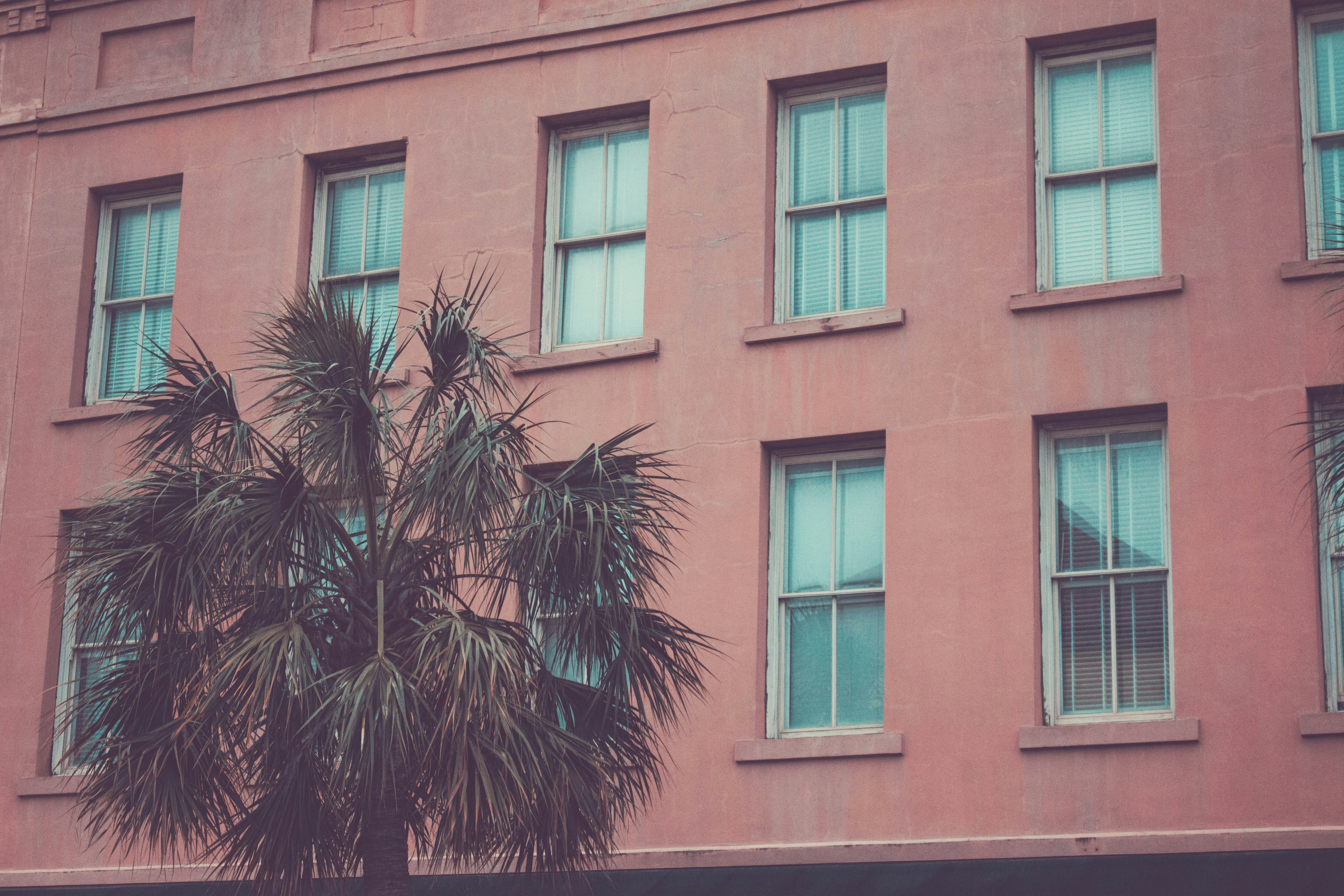 Free Unsplash photo from Andrew Charney