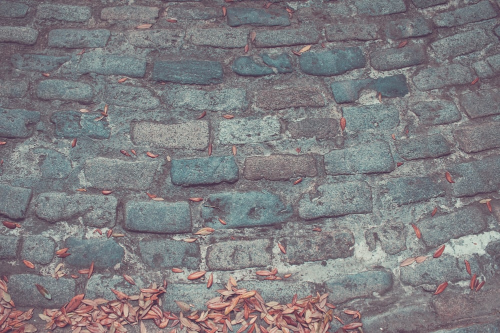 gray brick concrete surface with brown leaves