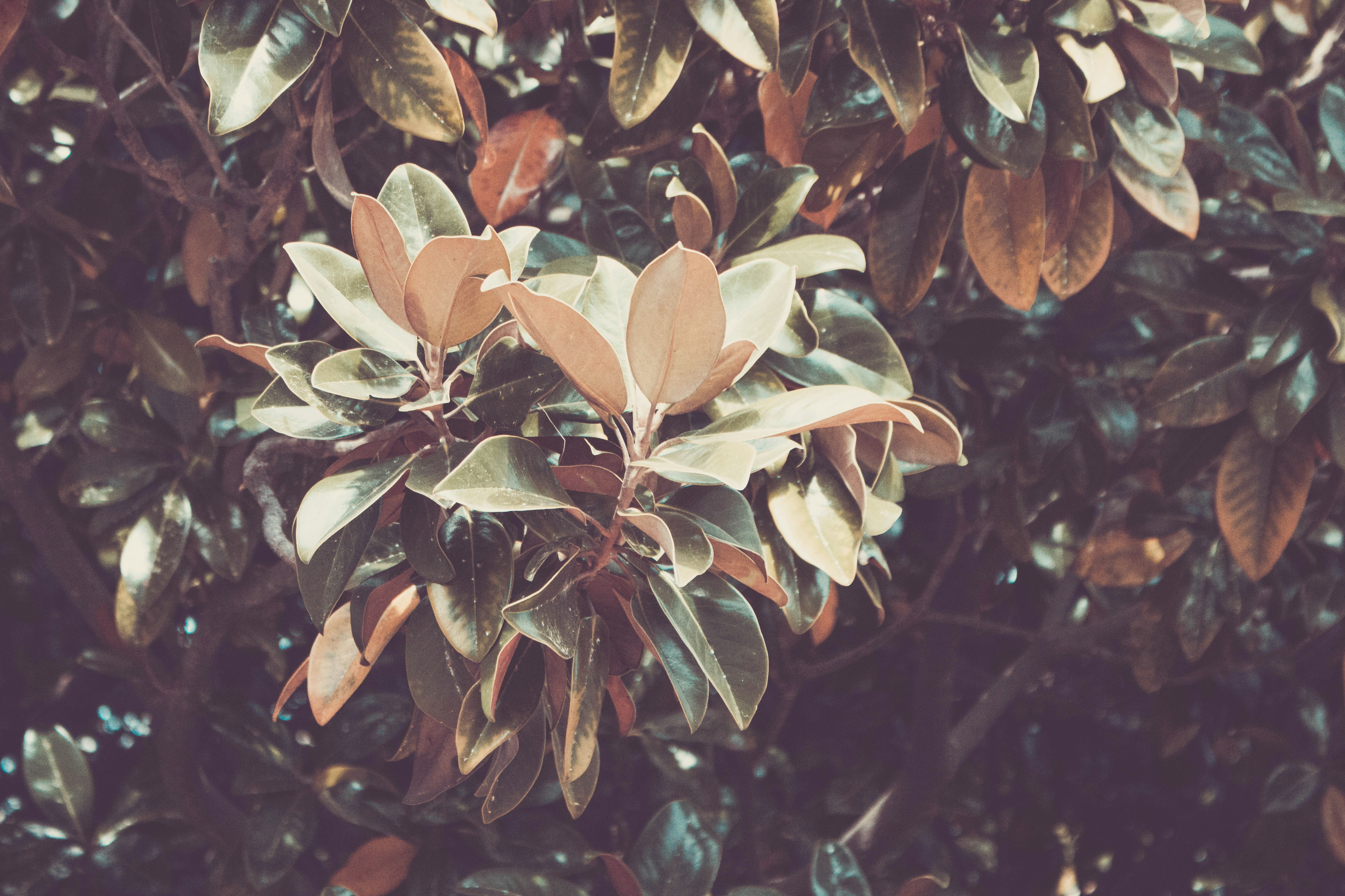 Free Unsplash photo from Andrew Charney