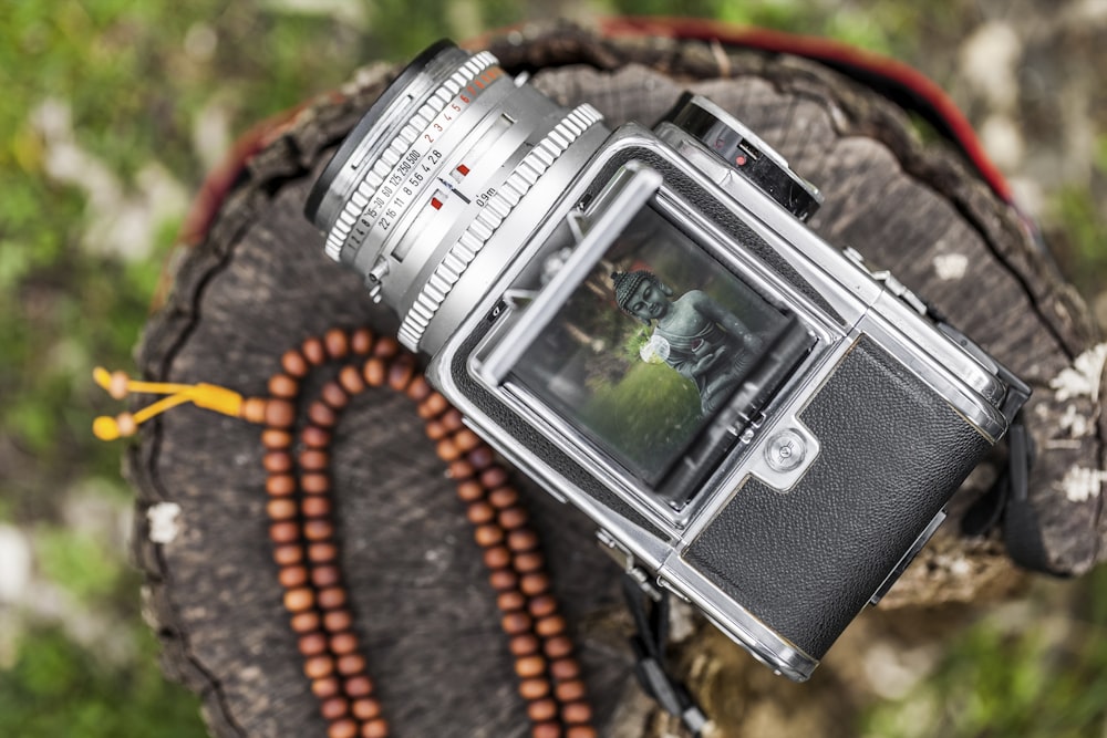 selective focus of gray DSLR camera captured Buddha statue