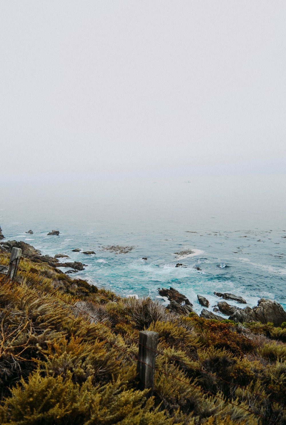 green grass field on edge of ocean