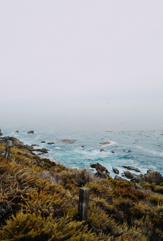 photo of Big Sur Shore near Monterey Bay