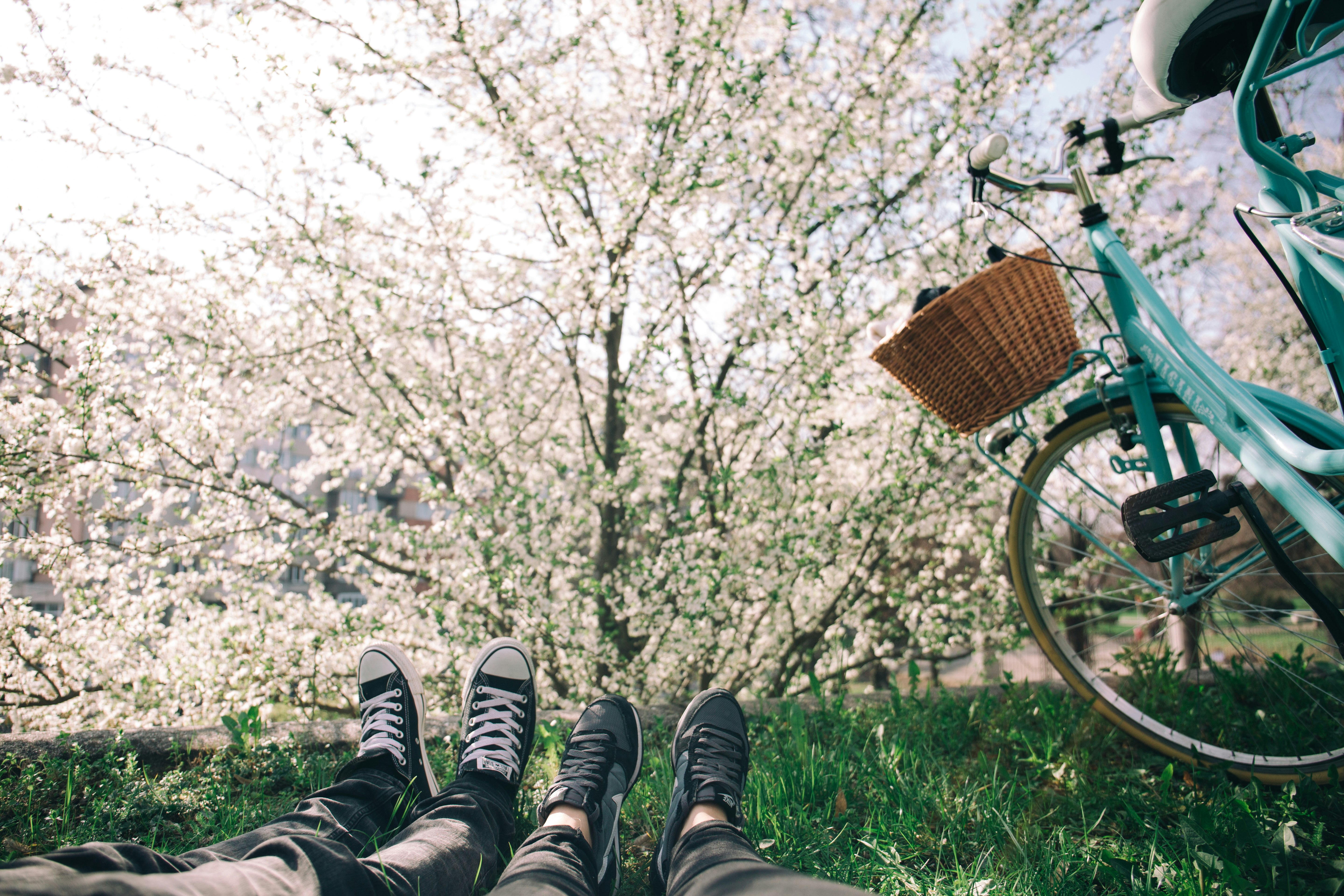 two person lying on grass near teal city bike