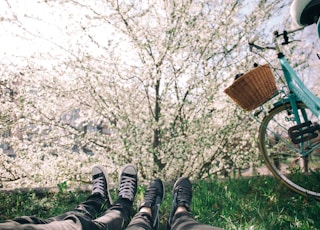 two person lying on grass near teal city bike